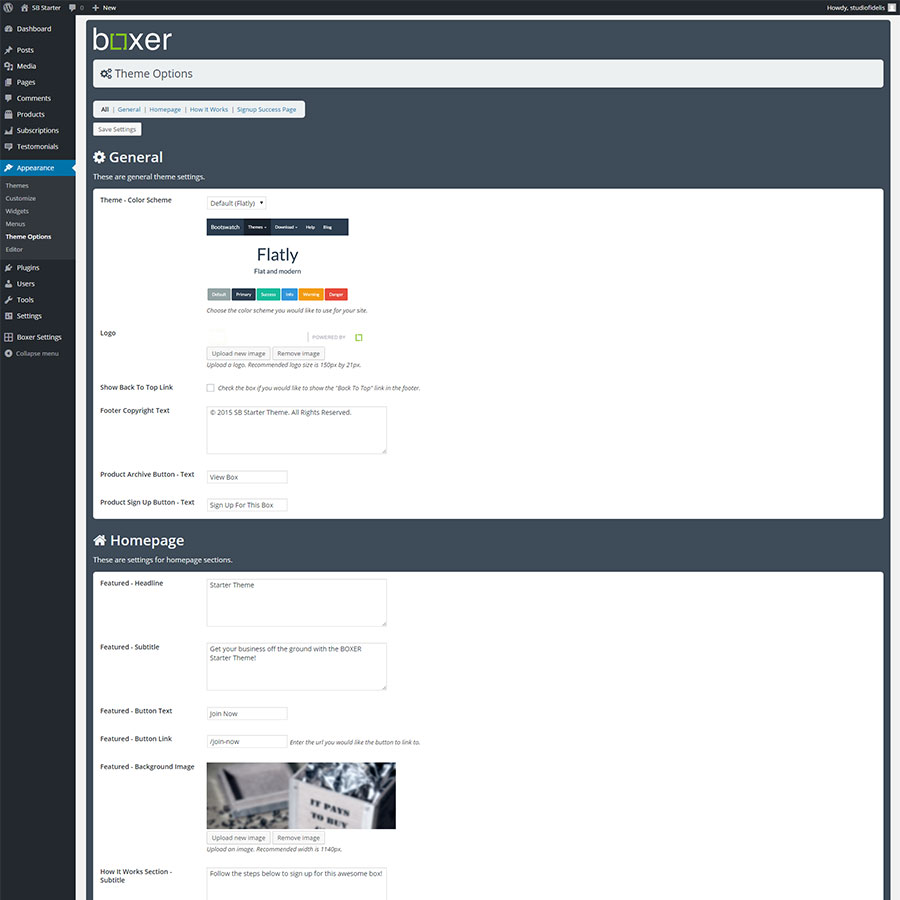 Theme Options panel in Admin including color variations